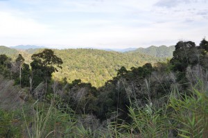 Before: Our first two days riding in Laos were mostly in a beautiful mountainous region, the Dong Amphan National Protected Area.