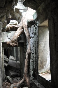 From inside the hallway... it was great because they literally let you walk around and explore the ruins freely!