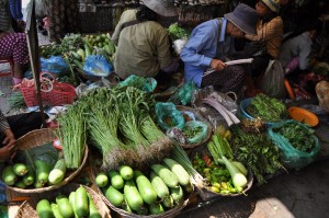 Vegetable section... tame enough.