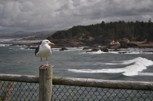 At least this day wasn't foggy like so many were, but this heavy cloud cover on the Oregon coast certainly kept the sun from warming things up!