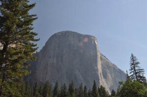 Sunny morning view as we made our way into Yosemite Valley. El Capitan, with its steep granite face, stands at more than 7,200 feet.