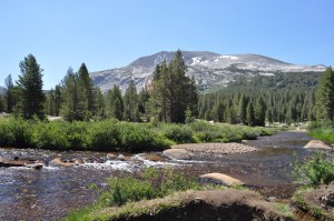 A river running through the meadows at the top of the Sierra Nevada.