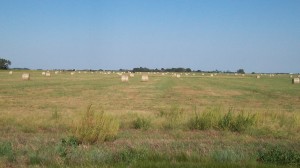 Plains with hay bales!