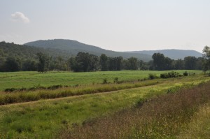 Definitely not in Kansas anymore! They're no Rockies, but the Ozarks were a beautiful change in scenery for us after the plains of Kansas!