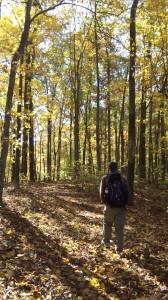 A walk in the woods. Once again--couldn't have asked for better weather!