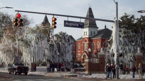 A beautiful Auburn tradition--rolling Toomer's Corner with toilet paper... and plenty of it!