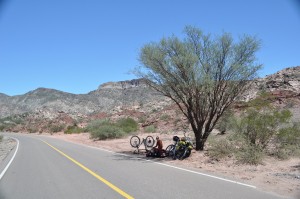 The less-than-ideal location for a rim failure--on a desolate stretch of desert road in Argentina. This was literally the only shade we saw for miles, and it was four days before we found a town big enough to have a bike shop that could replace the rim.