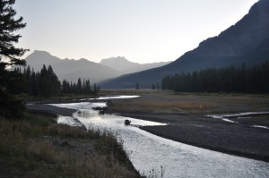 We got up super early (Kirby helped with that) to head to the Lamar Valley in hopes of seeing morning movement among the wildlife. We didn’t see a lot of diversity, but we saw a lot of wild bison, as well as some beautiful scenery. 