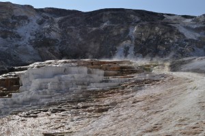 Mammoth Terraces are certainly one of the more unique thermal features in the park, as the hot springs here continue to shape the mountainside landscape.