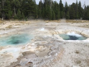 Lots of other geysers to watch and appreciate! This one is called Spasmodic Geyser.