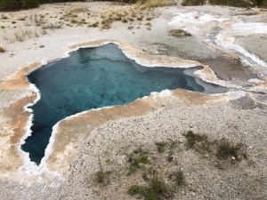 Also, there are just tons of random thermal pools around, like this beauty.