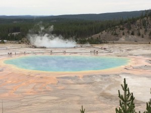 Here is the BEST view of Grand Prismatic Spring. Take the Fairy Falls hike for about a mile, take a left up the hill, and voila! You have this beautiful view overlooking the spring.