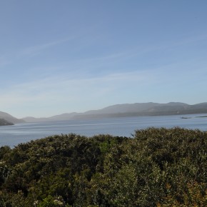 Chiloe National Park (1/13/11) Chiloe National Park (1/13/11)