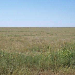 Kansas: A Plain(s) State